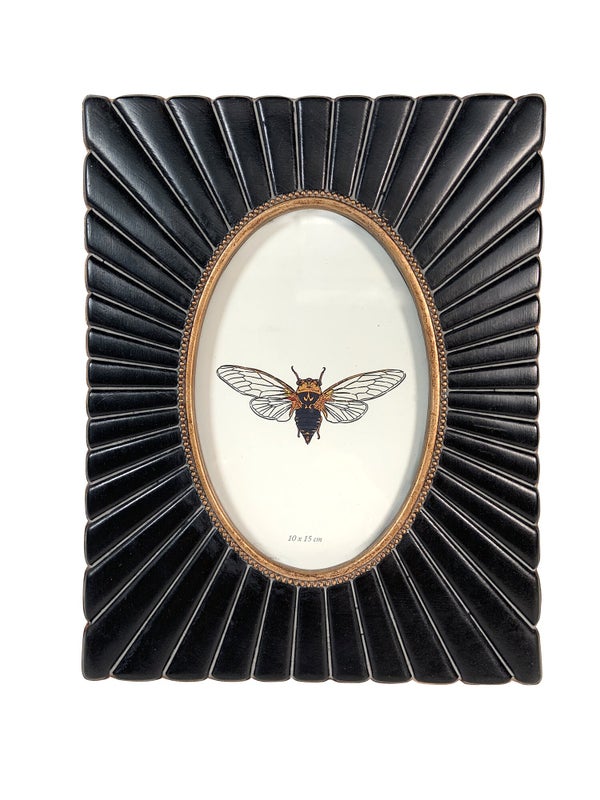 Cadre Ovale, H.15 x l.10 cm noir, EMDE DUMONT